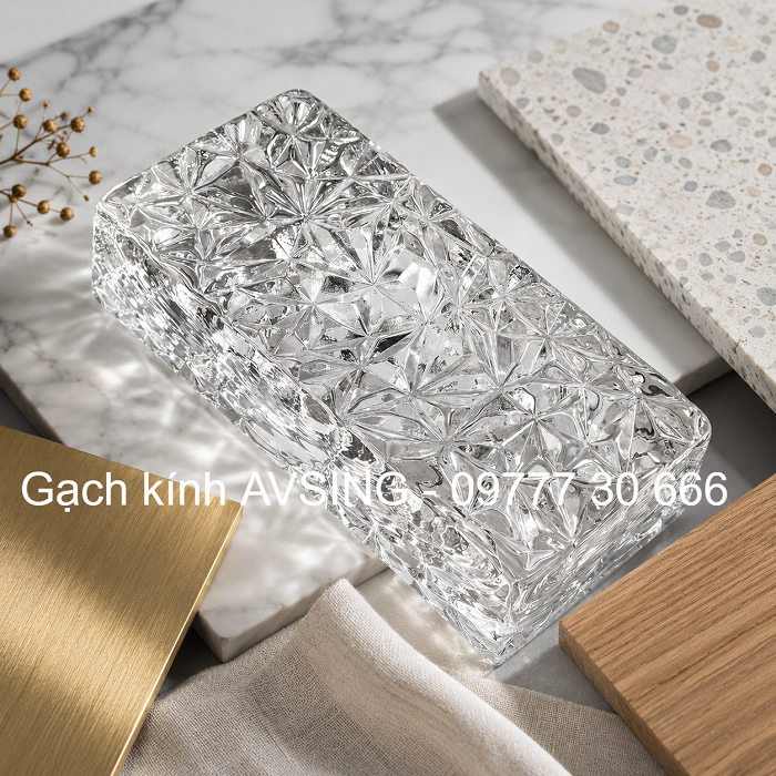 Gạch kính cánh hoa khối đặc 200x100x50mm AVSING Gạch kính cánh hoa khối đặc 200x100x50mm AVSING