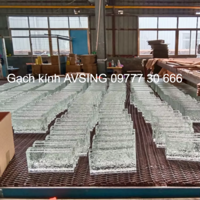 Gạch kính cây cỏ 150x150x50mm